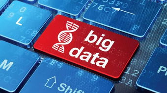 大數據死生劫 行業冰火兩重天